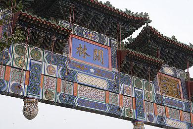 《挖菜吧兔》Steam页面上线 2024年第二季度发售